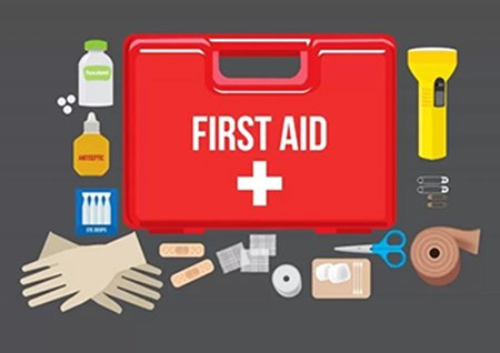first Aid WEB 2